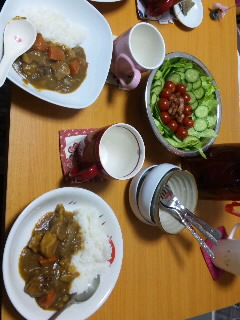 ����ɋA���