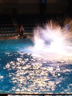 �V���b�^�[�̔������x���񂾂���c