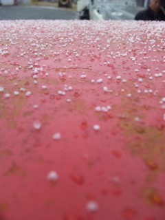 �|�X�g�̏�